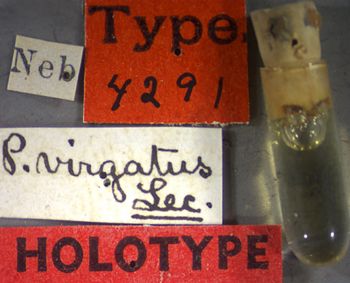 Media type: image;   Entomology 4291 Aspect: labels